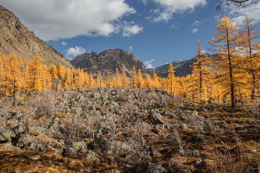 Photograph by Елена Павлова