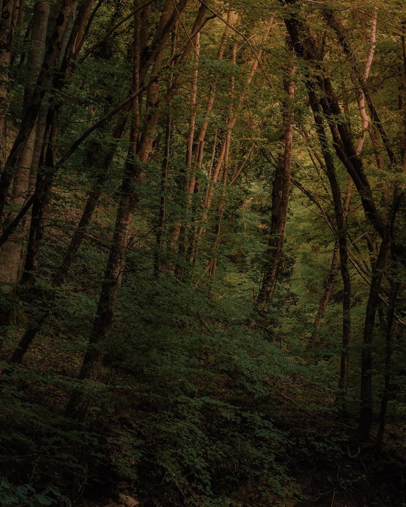 Photograph by Denis Trushtin