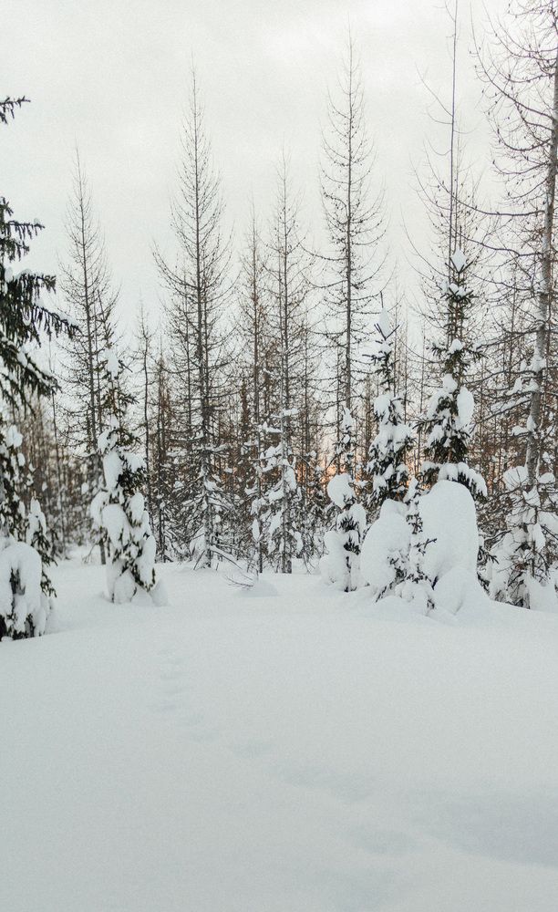 Photograph by Denis Trushtin