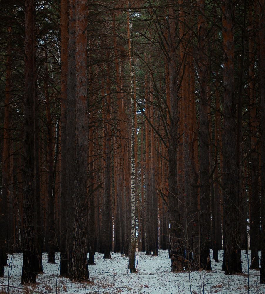 Photograph by Denis Trushtin