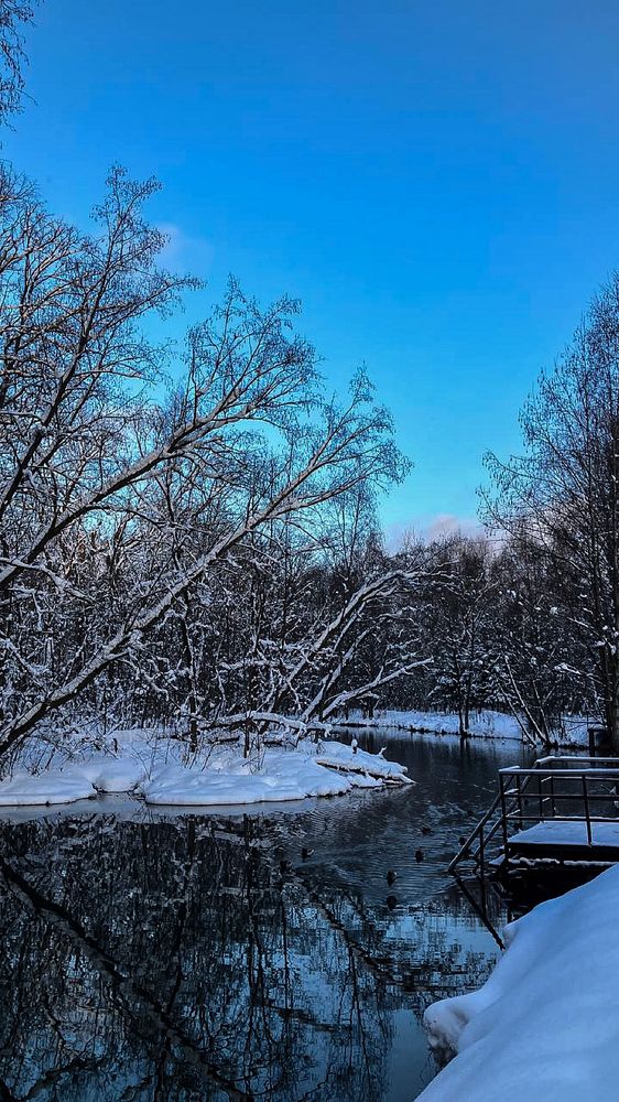 Photograph by Мария Карпычева