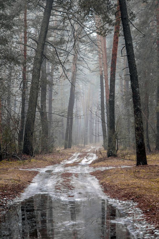 Photograph by Cергей Абакумов