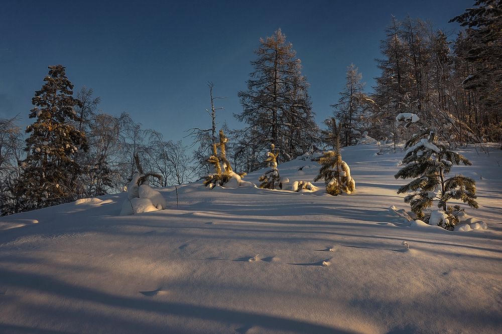 Photograph by Александр Шипиленко