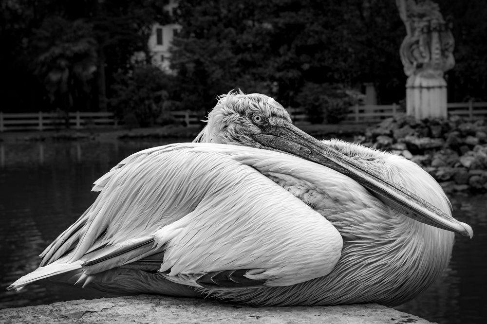 Photograph by Александр Поцелуев