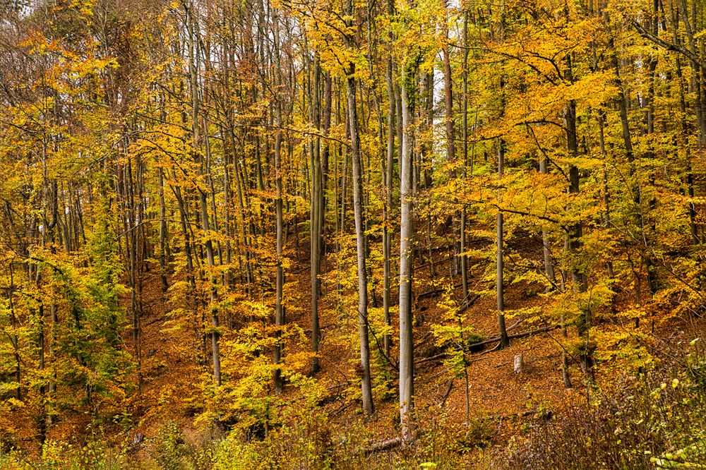 Photograph by Владимир Остапенко