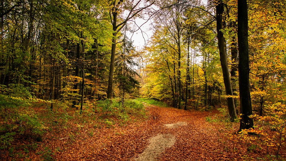 Photograph by Владимир Остапенко