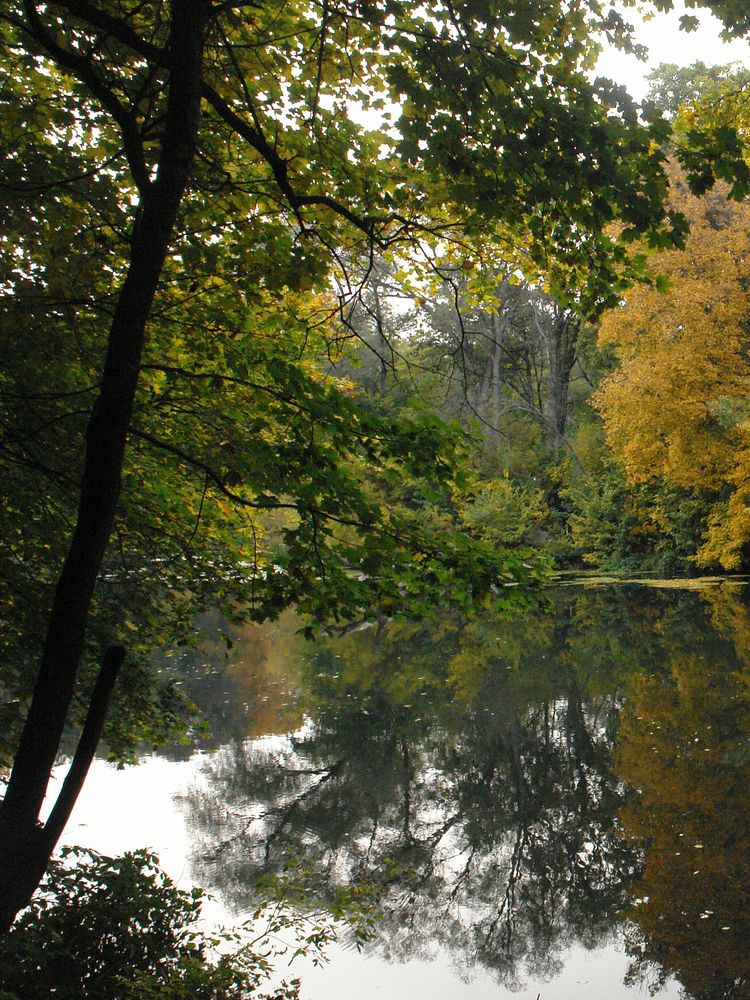 Photograph by Игорь Шевердин