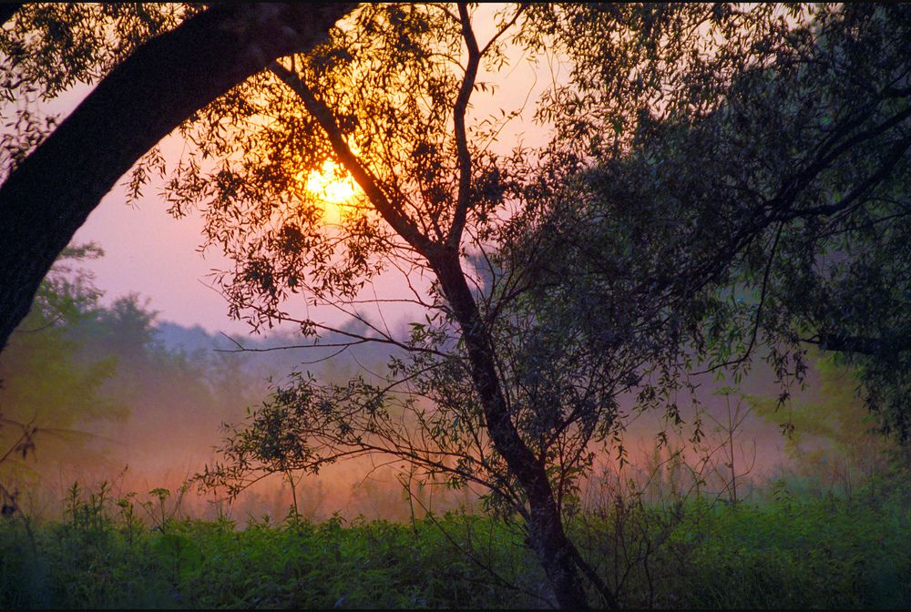 Photograph by Сергей Табатчиков