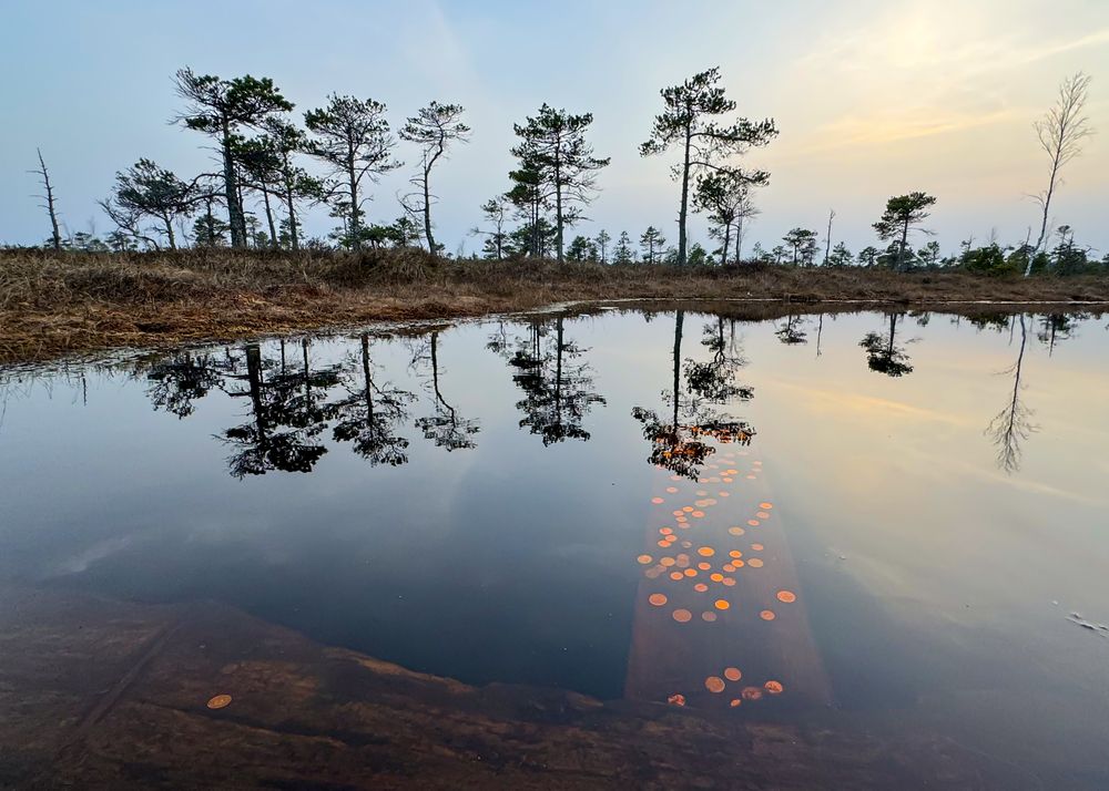 Фотография автора Dace Laukmane