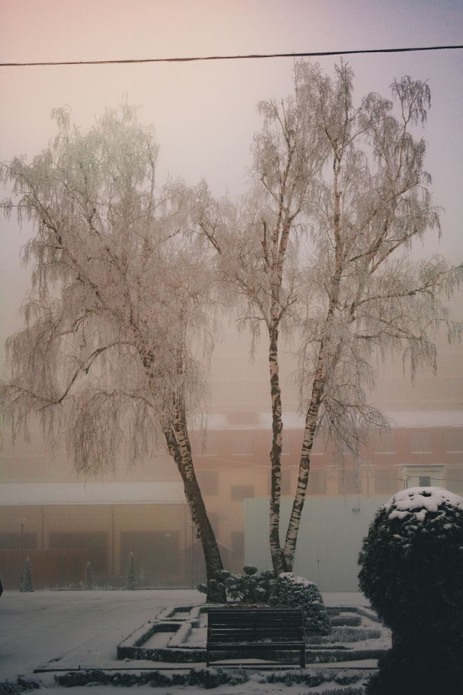 Photograph by Мария Сотникова