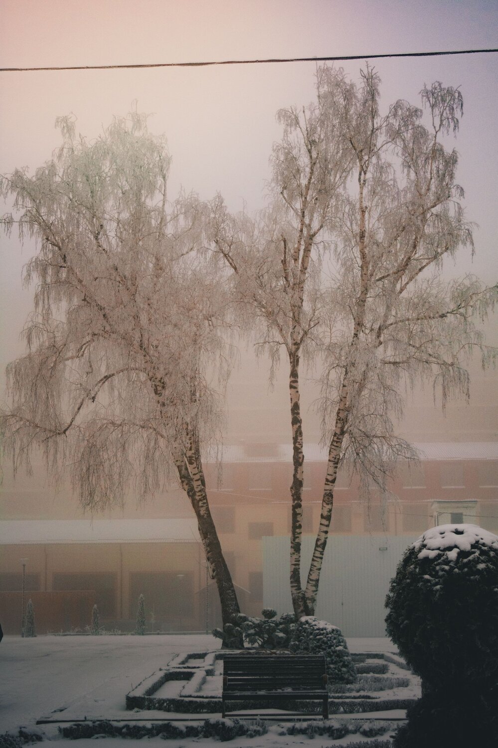 Photo #11815540