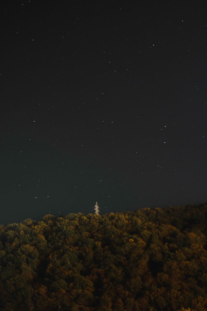 Photograph by Denis Trushtin