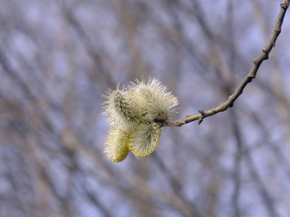 Photograph by Игорь Шевердин
