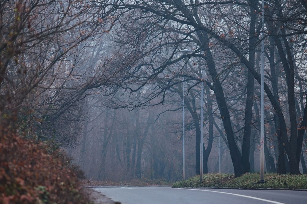 Photograph by Анастасия Васина