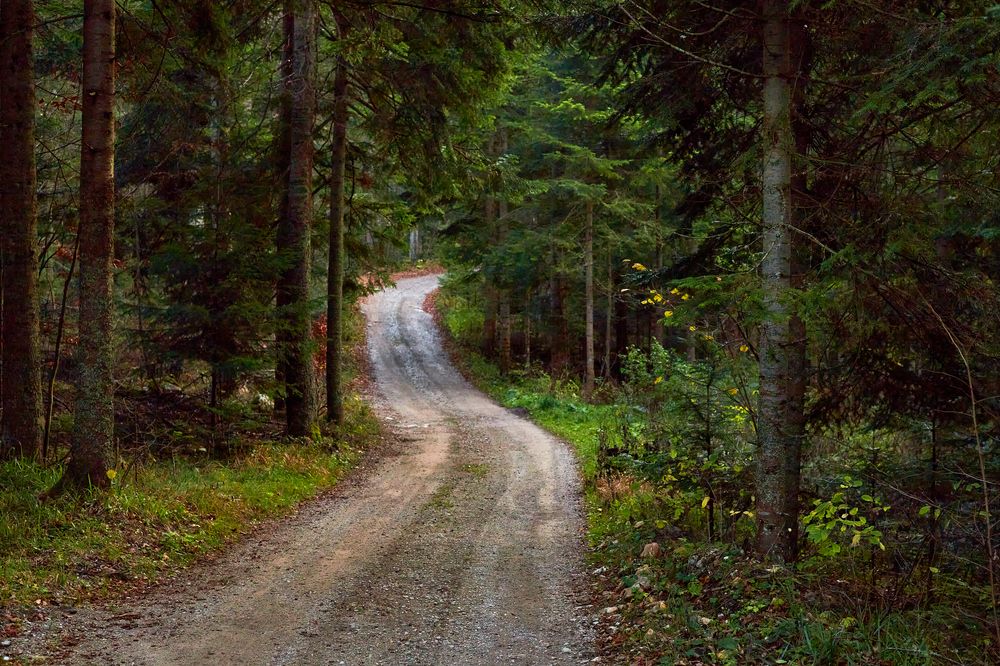 Photograph by Анастасия Васина