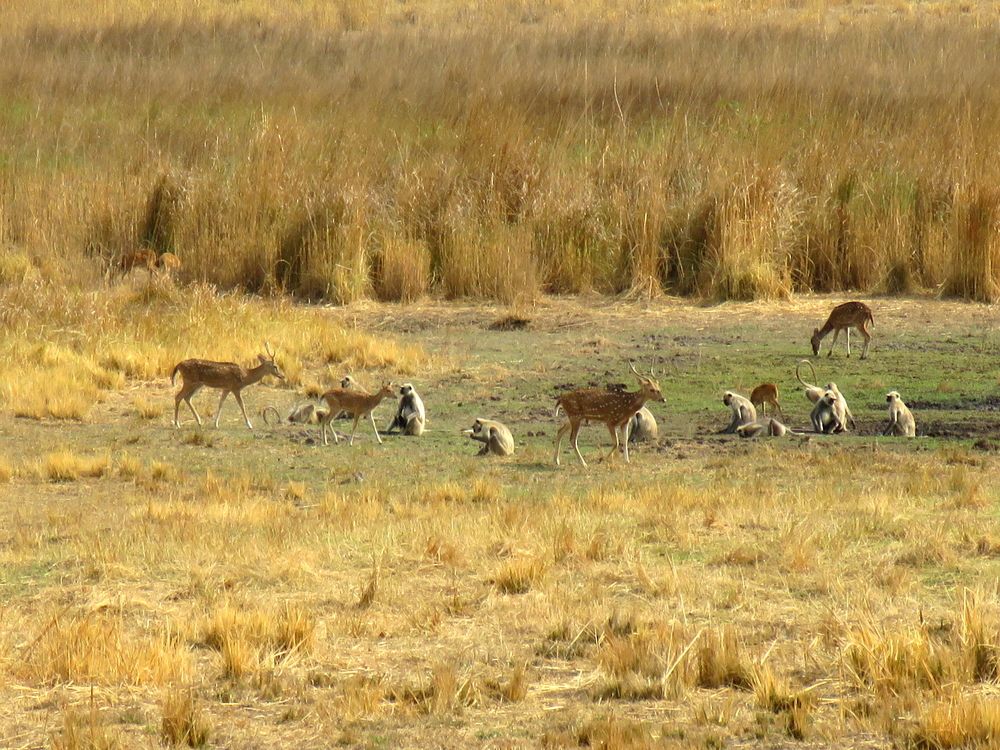 Photograph by SUCCESS LOVER