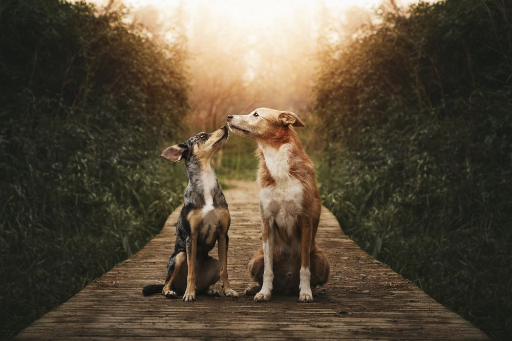 Photograph by leticia pascual garcia