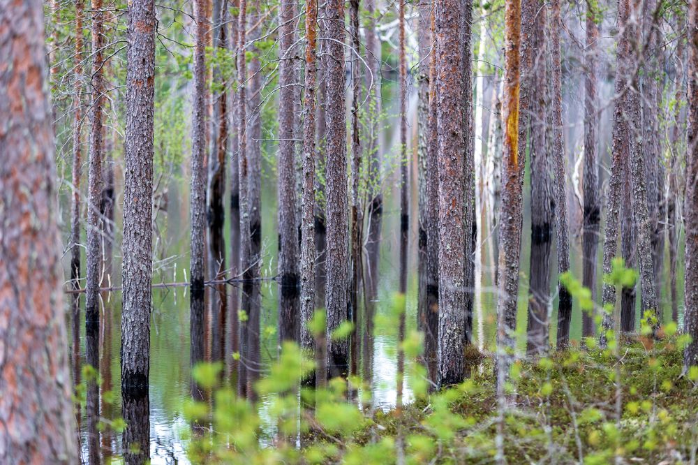 Photograph by Роман Дудкин