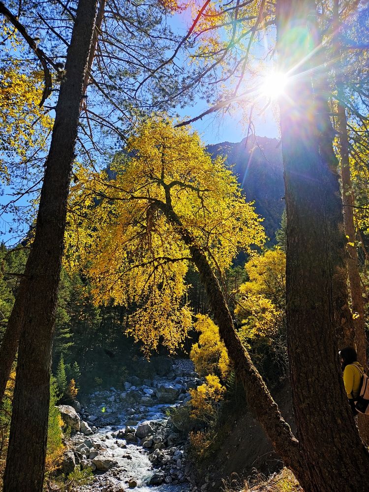 Photograph by Александра