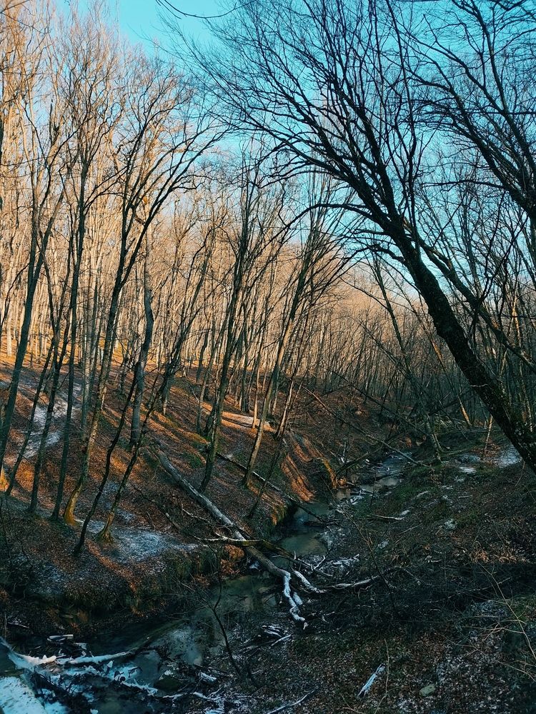 Photograph by Александра