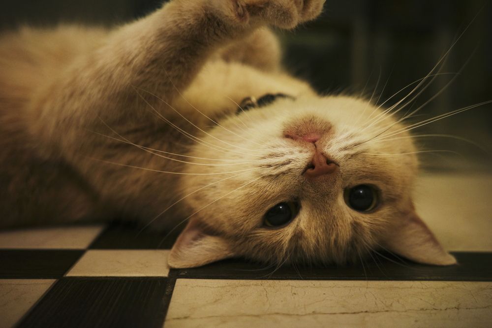 Photograph by Yana Egorova