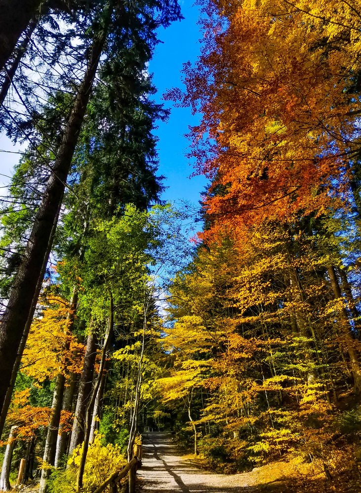 Photograph by Михаил Бояркин