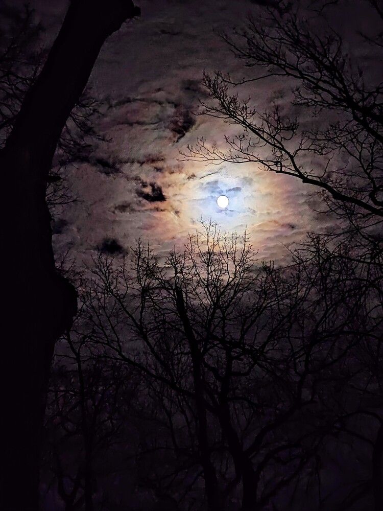 Лунный свет