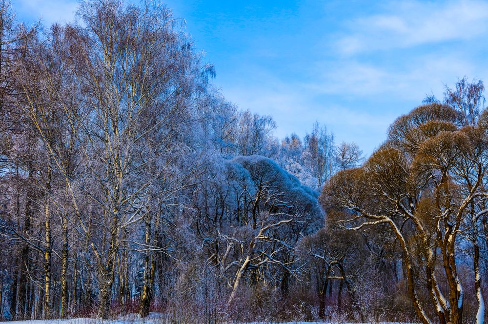 Photograph by Михаил Бояркин