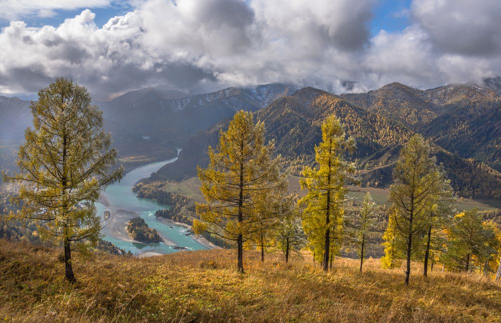 Photograph by Tatyana