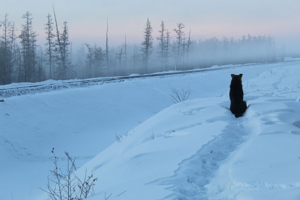 Photograph by Михаил Мархинин