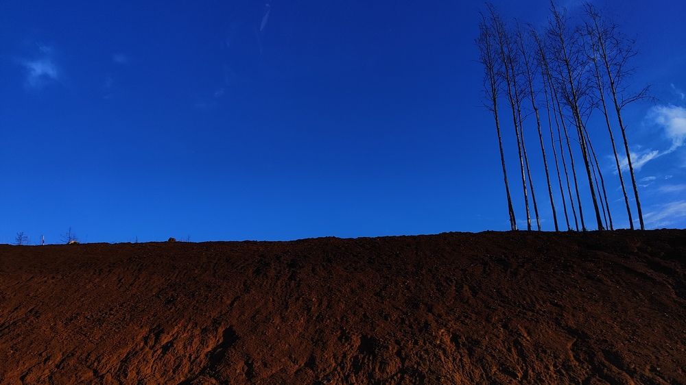 Фотография автора Оксана Антощук