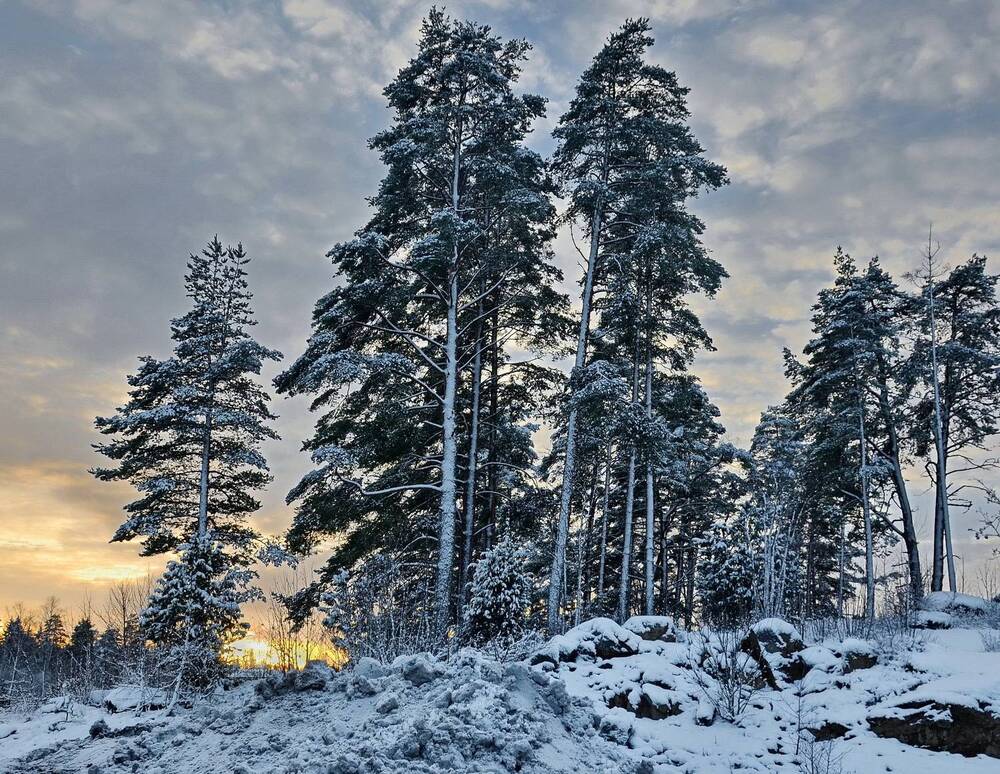 Photograph by Лидия Ушакова