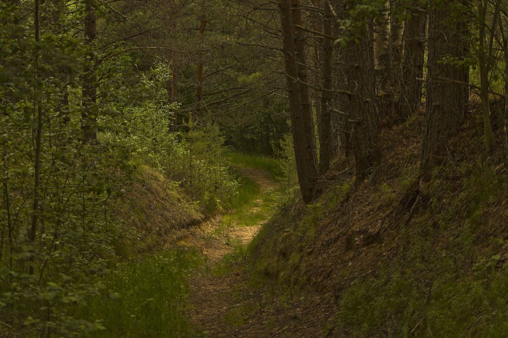 Там, на неведомых дорожках...