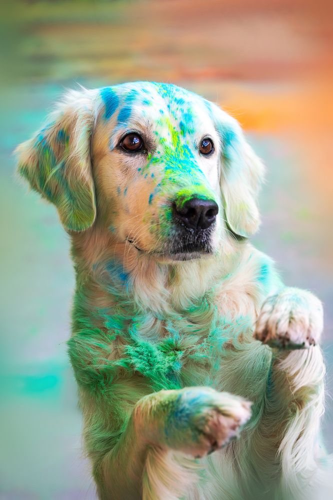 Photograph by Veronika Zatorkina