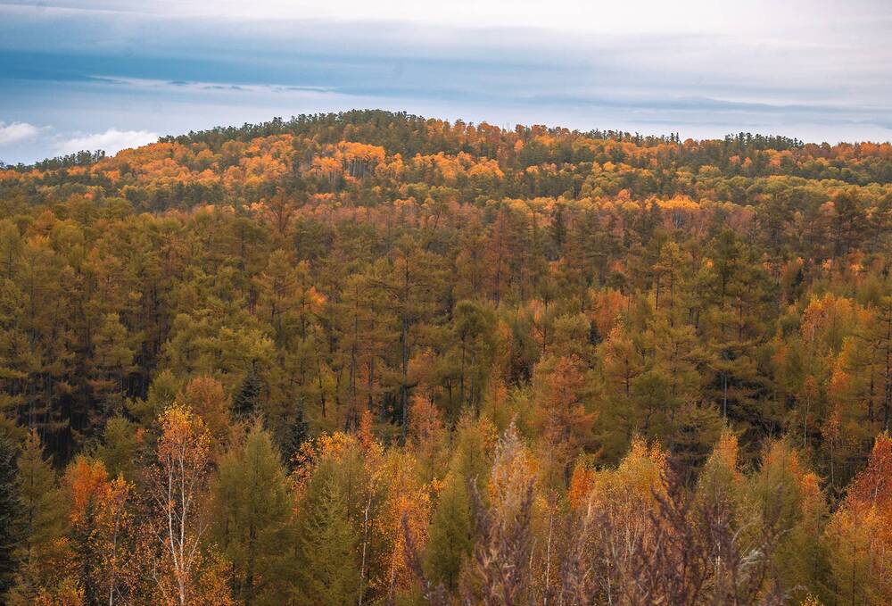 Фотография автора Ирина Голомазова