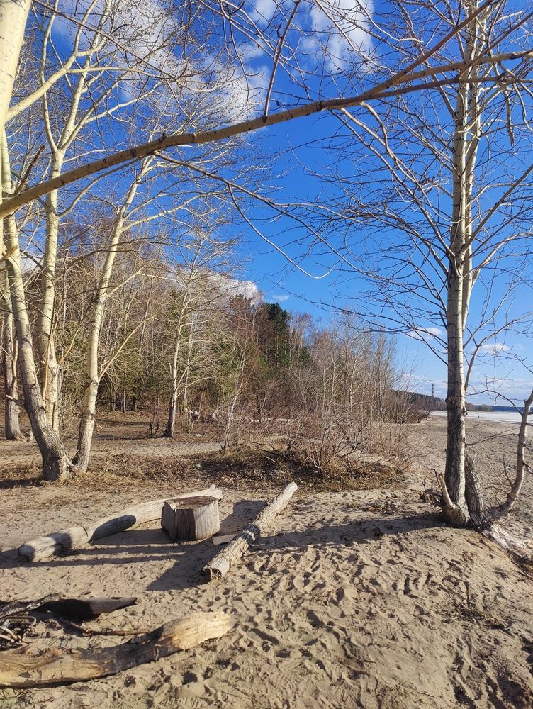 Photograph by Olena Chertous