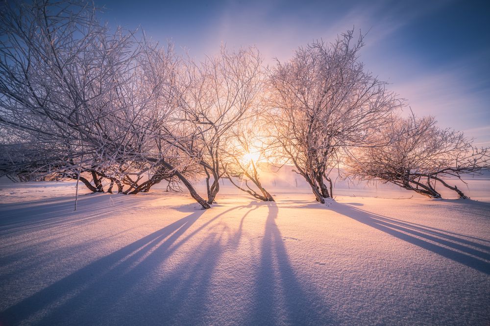 Photograph by 冷 杰