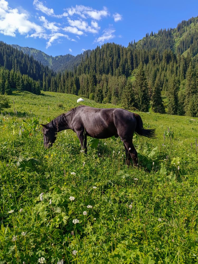 Фотография автора Владимир