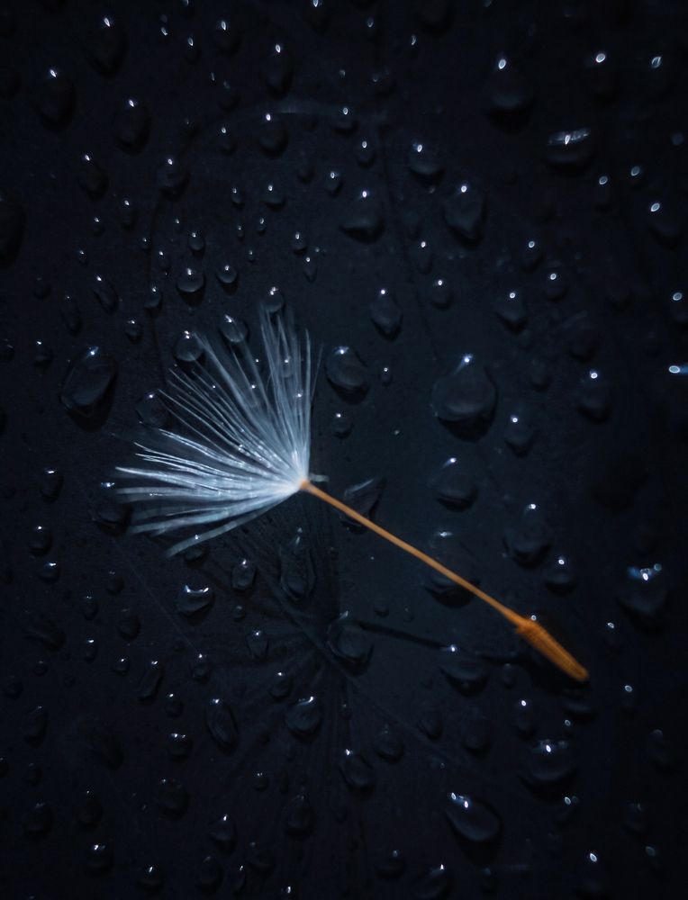 Photograph by Ольга Казакова