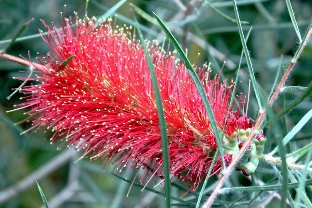 Photograph by Татьяна Кормщикова