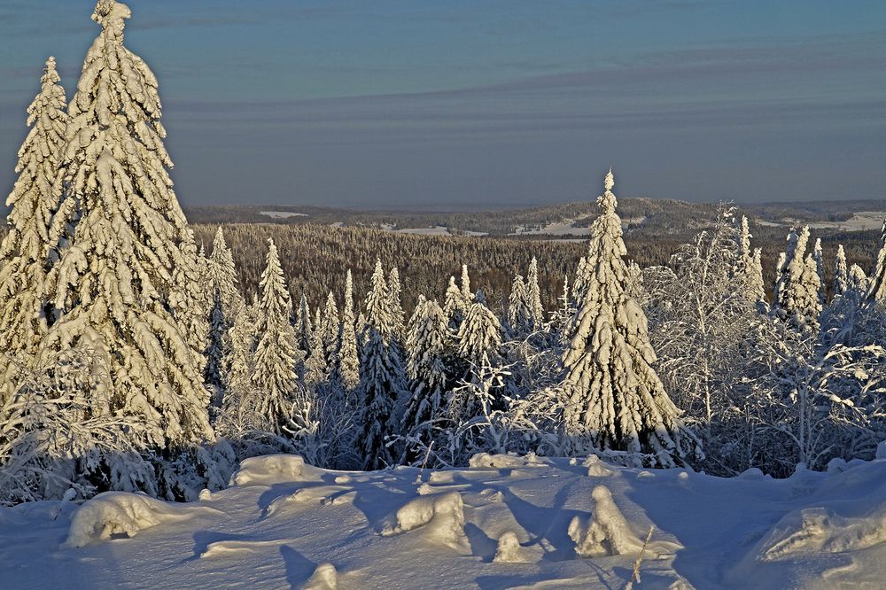 Photograph by Сергей Уржумов