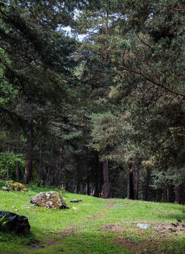 Photograph by Даниил Пузаков