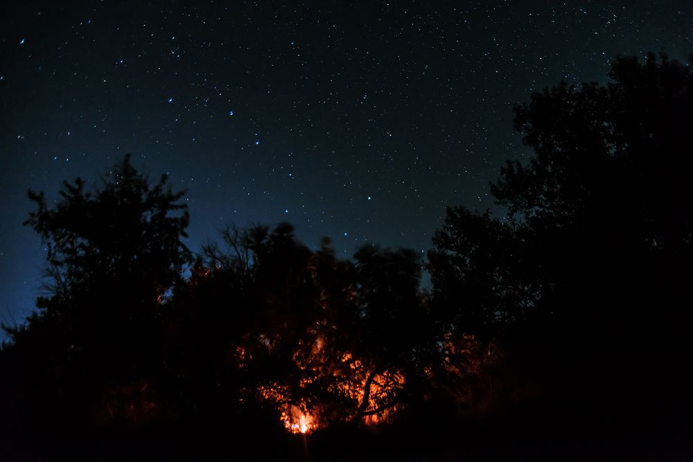 Пикник под звездами