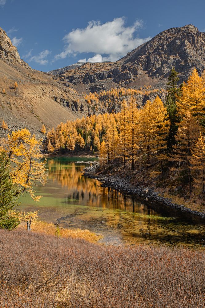 Photograph by Елена Павлова