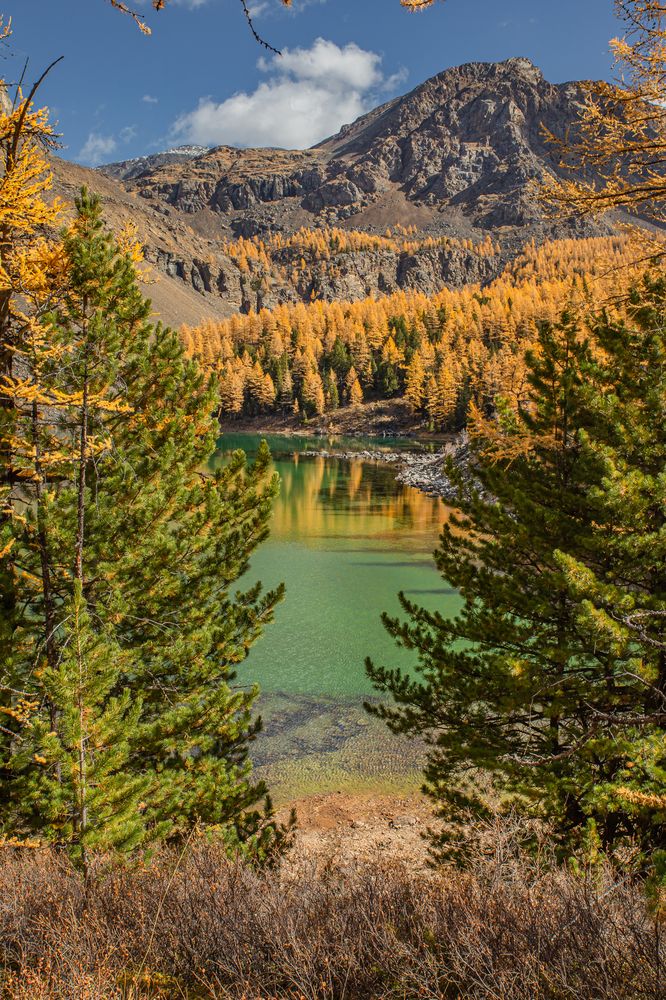 Photograph by Елена Павлова