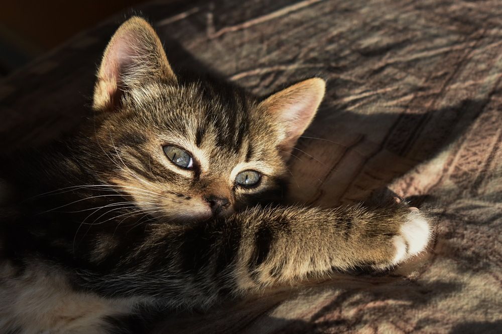 Photograph by Роман Пацкевич