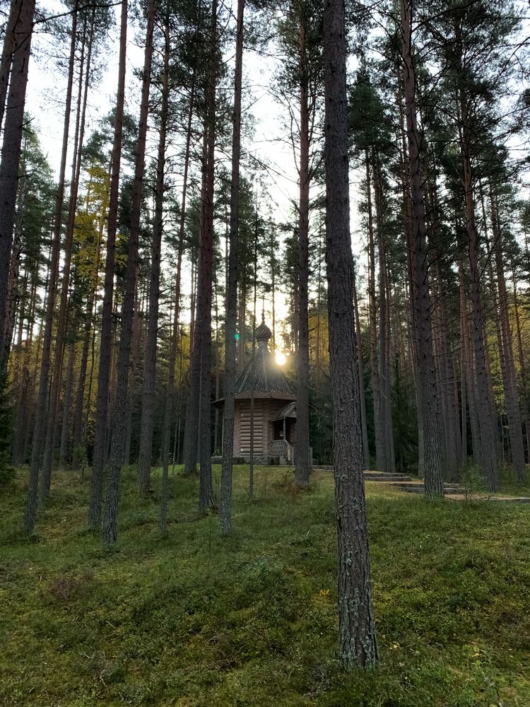 Часовня в лесу