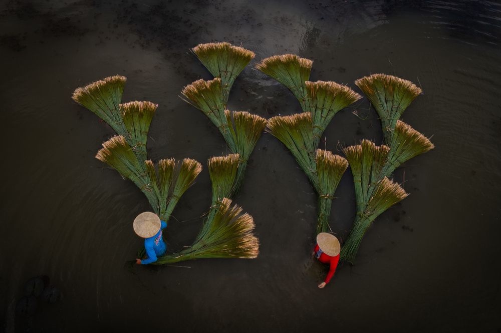 Photograph by Erhan Coral