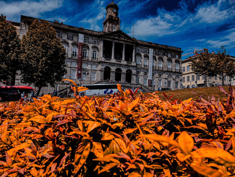 Palacio de la bolsa Oporto