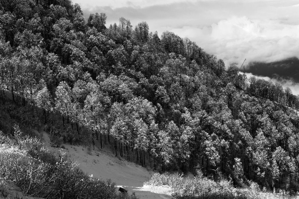 Photograph by Ричард Речицкий